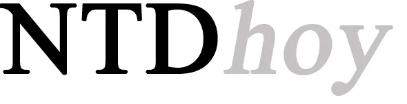 instaladoresdetelecomhoy.com logo