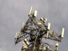 Arrendadores de antenas telefónicas